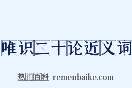 唯识二十论近义词是什么意思的图片